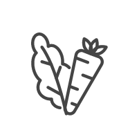Icon of a lettuce leaf and a carrot